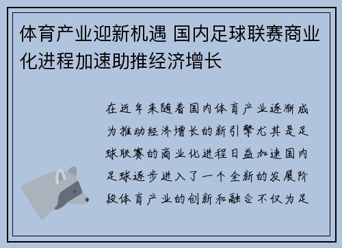 体育产业迎新机遇 国内足球联赛商业化进程加速助推经济增长